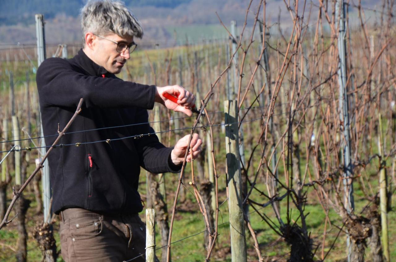 Weingut Erbes-Henn Hotel Uerzig Luaran gambar